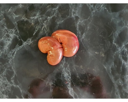 Orkney Scotch Lamb's Kidney